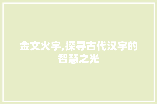 金文火字,探寻古代汉字的智慧之光