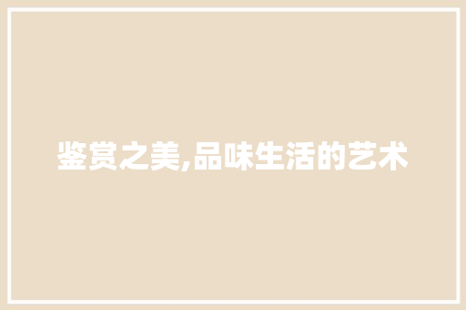 鉴赏之美,品味生活的艺术