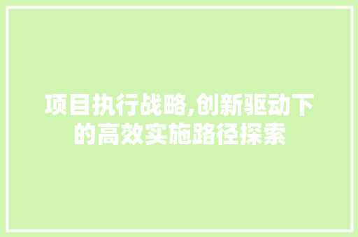 项目执行战略,创新驱动下的高效实施路径探索