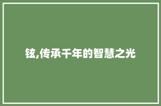 铉,传承千年的智慧之光