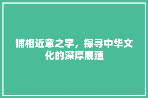 铺相近意之字，探寻中华文化的深厚底蕴