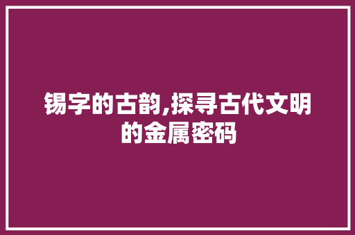锡字的古韵,探寻古代文明的金属密码
