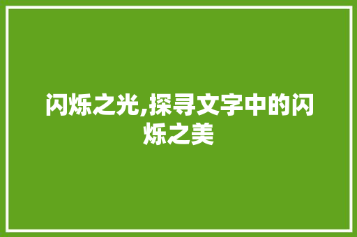 闪烁之光,探寻文字中的闪烁之美