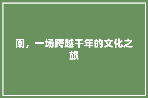 阑，一场跨越千年的文化之旅