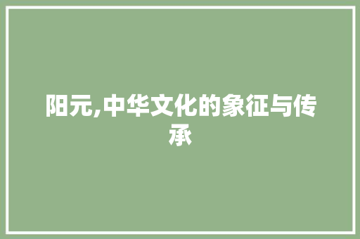 阳元,中华文化的象征与传承 采访稿