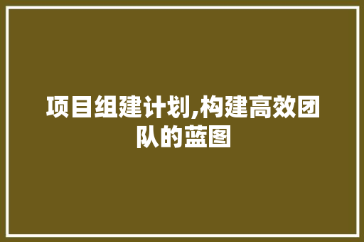 项目组建计划,构建高效团队的蓝图
