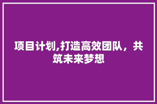 项目计划,打造高效团队，共筑未来梦想 工作总结
