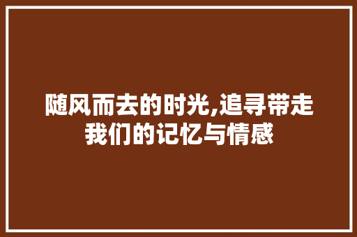 随风而去的时光,追寻带走我们的记忆与情感