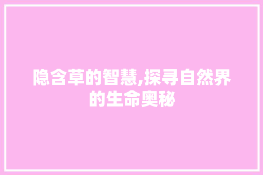 隐含草的智慧,探寻自然界的生命奥秘