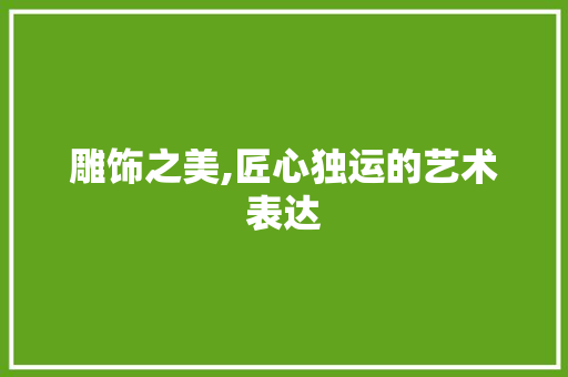 雕饰之美,匠心独运的艺术表达
