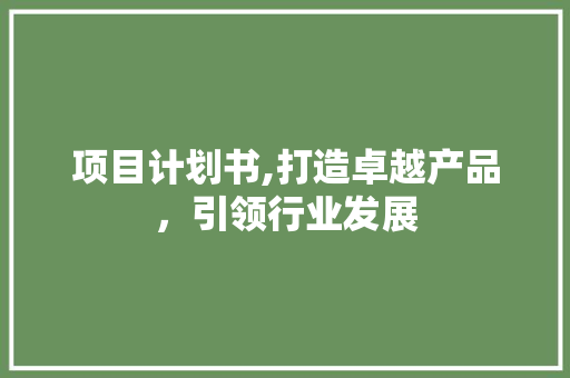 项目计划书,打造卓越产品，引领行业发展