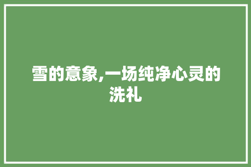 雪的意象,一场纯净心灵的洗礼