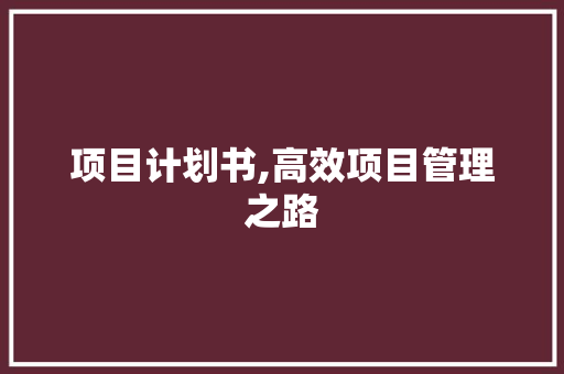 项目计划书,高效项目管理之路