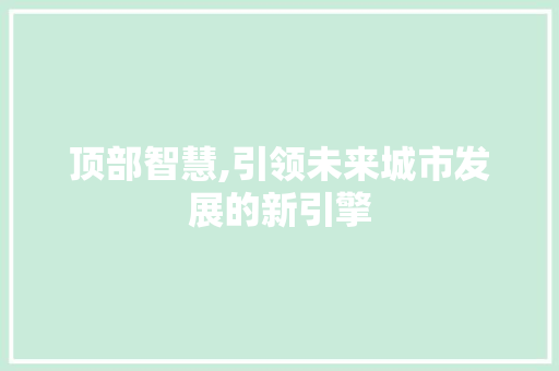 顶部智慧,引领未来城市发展的新引擎
