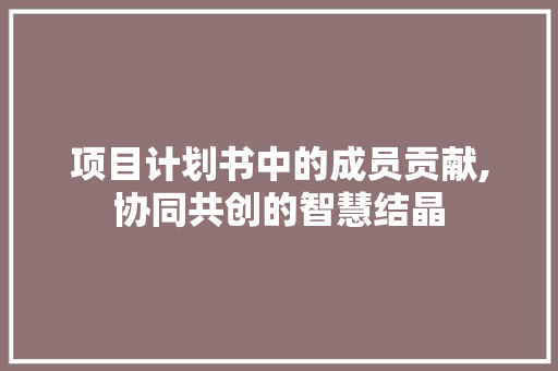 项目计划书中的成员贡献,协同共创的智慧结晶