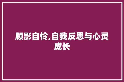 顾影自怜,自我反思与心灵成长