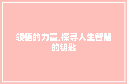 领悟的力量,探寻人生智慧的钥匙