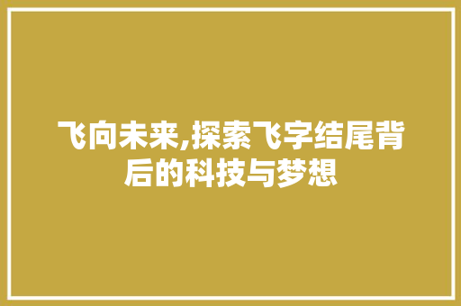 飞向未来,探索飞字结尾背后的科技与梦想
