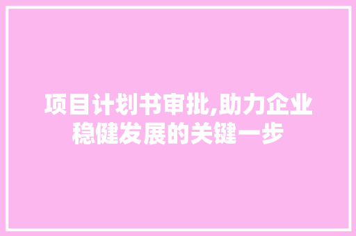 项目计划书审批,助力企业稳健发展的关键一步