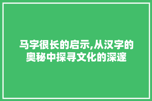 马字很长的启示,从汉字的奥秘中探寻文化的深邃