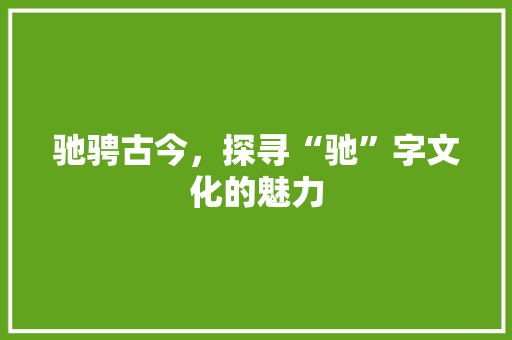 驰骋古今，探寻“驰”字文化的魅力