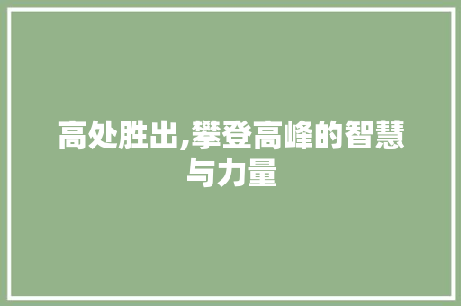 高处胜出,攀登高峰的智慧与力量