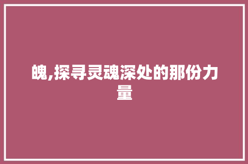 魄,探寻灵魂深处的那份力量