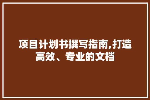 项目计划书撰写指南,打造高效、专业的文档