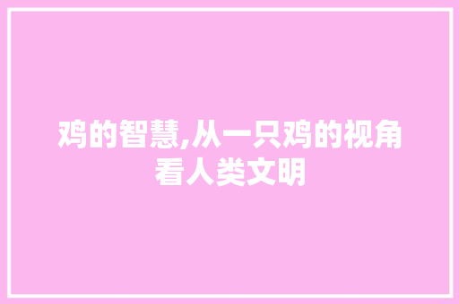 鸡的智慧,从一只鸡的视角看人类文明
