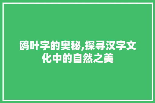 鸥叶字的奥秘,探寻汉字文化中的自然之美