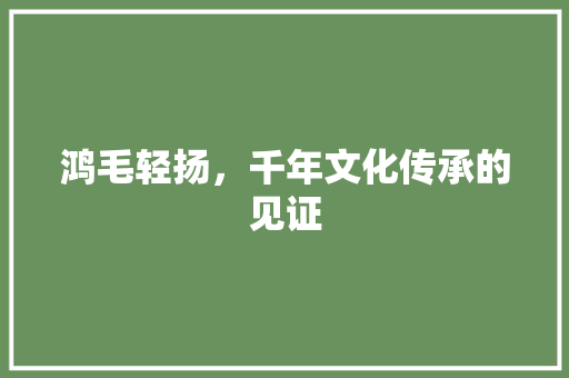 鸿毛轻扬，千年文化传承的见证