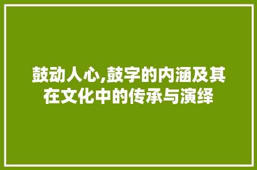 鼓动人心,鼓字的内涵及其在文化中的传承与演绎