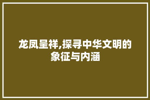 龙凤呈祥,探寻中华文明的象征与内涵