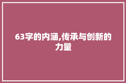 63字的内涵,传承与创新的力量