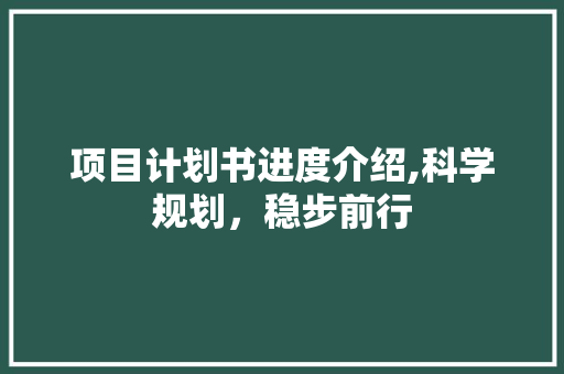 项目计划书进度介绍,科学规划，稳步前行