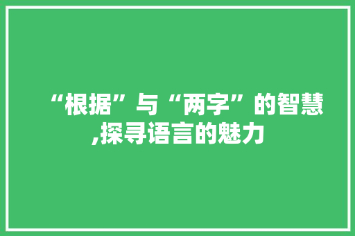 “根据”与“两字”的智慧,探寻语言的魅力