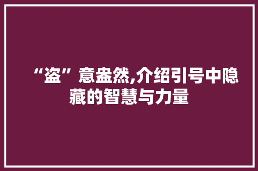 “盗”意盎然,介绍引号中隐藏的智慧与力量