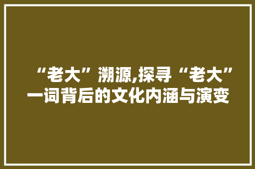 “老大”溯源,探寻“老大”一词背后的文化内涵与演变历程