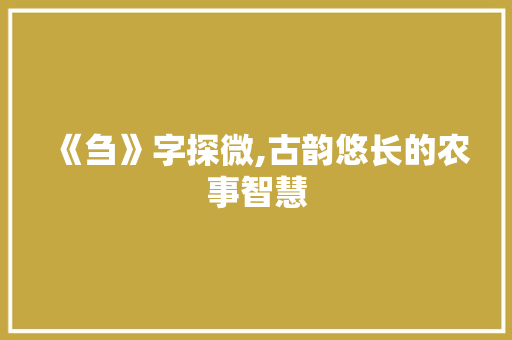 《刍》字探微,古韵悠长的农事智慧