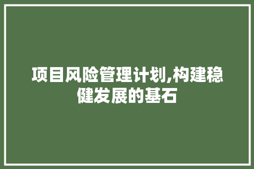 项目风险管理计划,构建稳健发展的基石