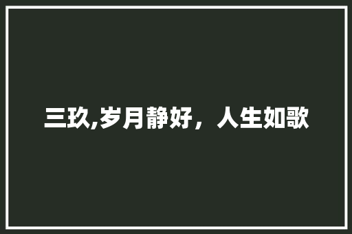 三玖,岁月静好，人生如歌