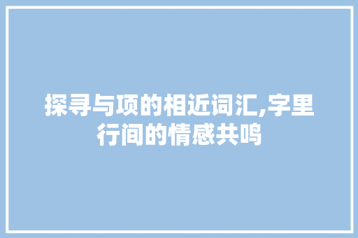 探寻与项的相近词汇,字里行间的情感共鸣