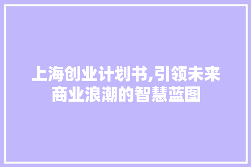 上海创业计划书,引领未来商业浪潮的智慧蓝图