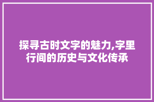 探寻古时文字的魅力,字里行间的历史与文化传承