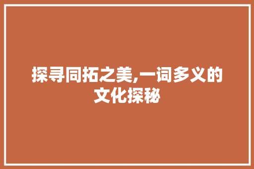 探寻同拓之美,一词多义的文化探秘
