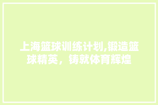 上海篮球训练计划,锻造篮球精英，铸就体育辉煌