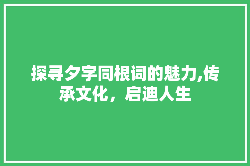 探寻夕字同根词的魅力,传承文化，启迪人生