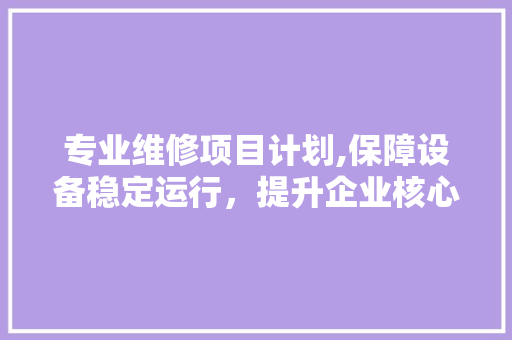 专业维修项目计划,保障设备稳定运行，提升企业核心竞争力