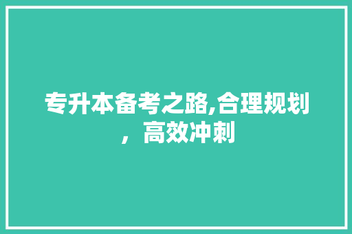 专升本备考之路,合理规划，高效冲刺