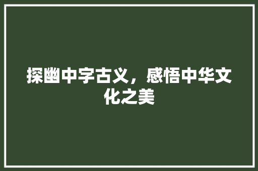 探幽中字古义，感悟中华文化之美